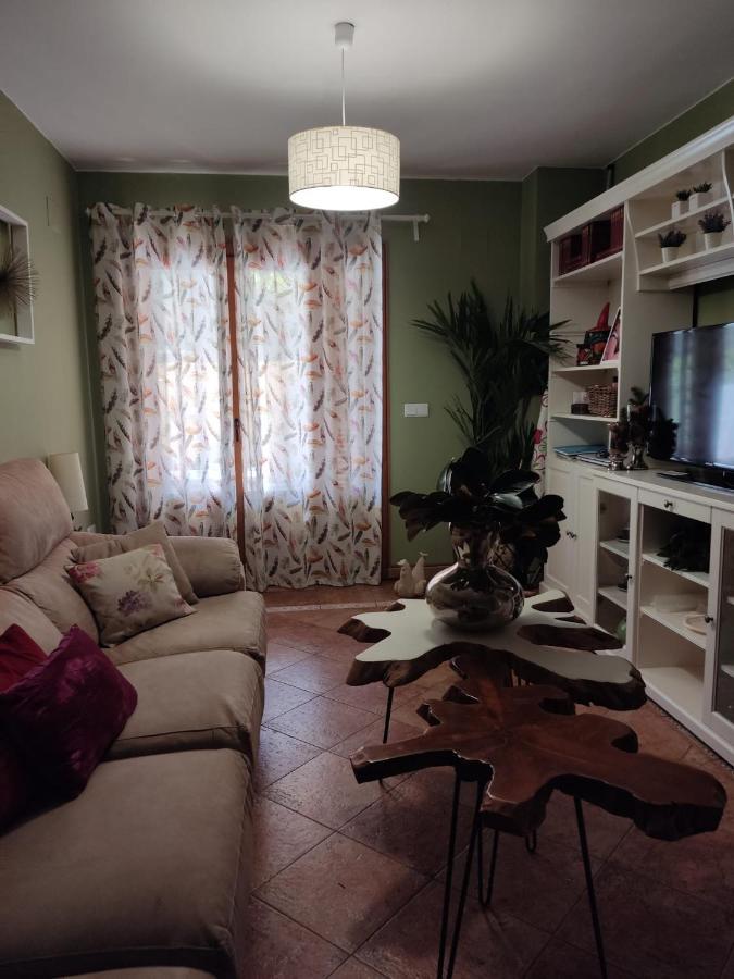 Apartamento Completo Con Piscina Comunitaria Y Patio Exterior 阿亚蒙特 外观 照片